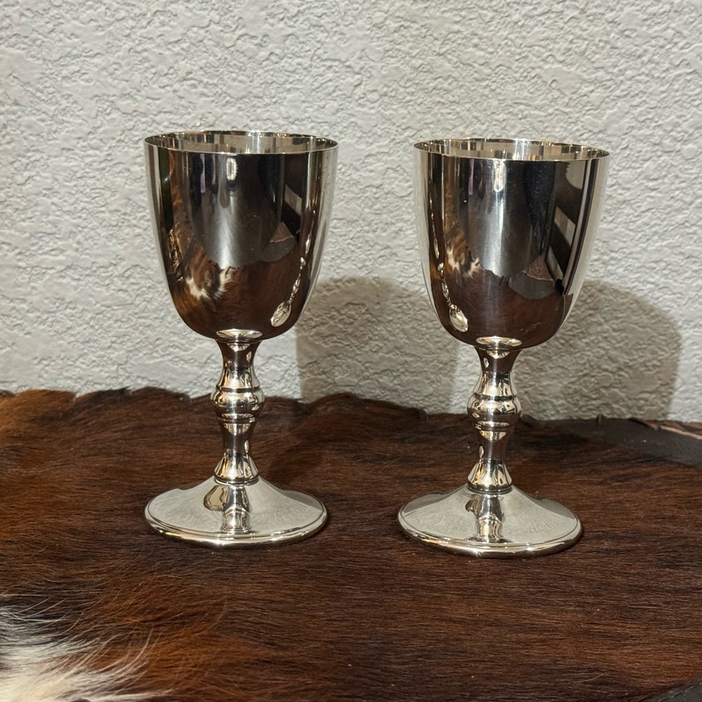 Elegant Silver Goblet Set